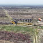 Парцел в с. Браниполе, Област Пловдив - 900 кв.м за 21 €/кв.м - Снимка #1