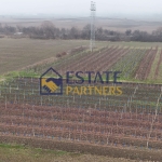 Парцел в с. Брестник, Област Пловдив - 1401 кв.м за 13 €/кв.м - Снимка #1