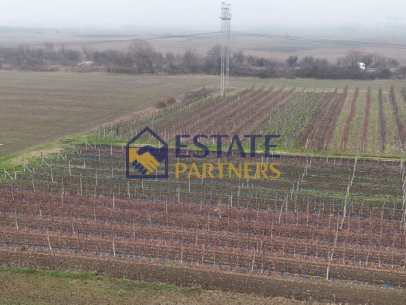 Парцел в с. Брестник, Област Пловдив - 1401 кв.м за 13 €/кв.м - Снимка #1