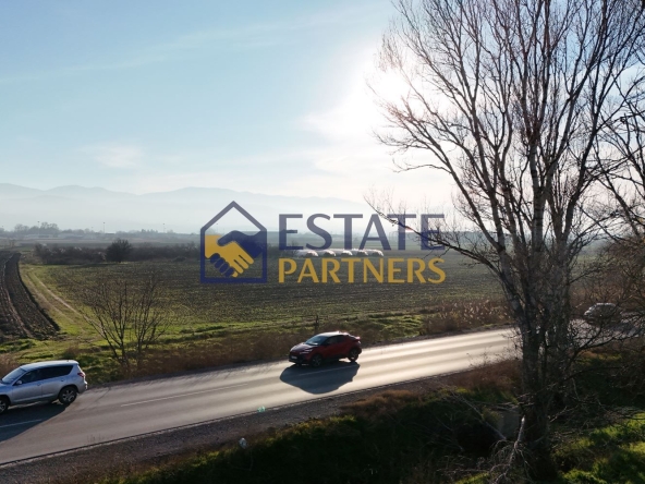 Парцел в с. Оризари, Област Пловдив - 4082 кв.м за 16 €/кв.м - Снимка #1