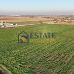 Парцел в с. Златитрап, Област Пловдив - 3000 кв.м за 13 €/кв.м - Снимка #1