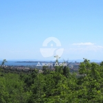 Парцел в с. Кошарица, Област Бургас - 6001 кв.м за 13 €/кв.м - Снимка #1