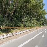 Парцел в Варна, Владислав Варненчик - 3000 кв.м за 80 €/кв.м - Снимка #1