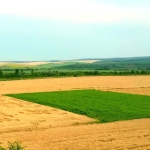 Земеделски имот в с. Радецки, Област Сливен -  кв.м за 1421 €/дка - Снимка #1