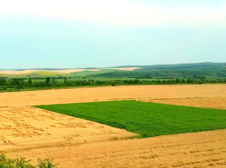 Земеделски имот в с. Радецки, Област Сливен -  кв.м за 1421 €/дка - Снимка #1