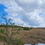 Парцел в Провадия - 1000 кв.м за 10 €/кв.м - Снимка #1