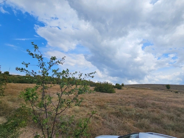 Парцел в Провадия - 1000 кв.м за 10 €/кв.м - Снимка #1