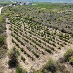 Парцел в с. Виноградец, Област Пазарджик - 3200 кв.м за 2 €/кв.м - Снимка #1