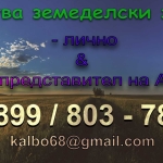 Земеделски имот в Шумен, Болницата -  кв.м за 0 €/дка - Снимка #1