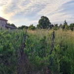 Парцел в Димитровград - 767 кв.м за 23 €/кв.м - Снимка #1