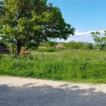 Парцел в Брезово - 2000 кв.м за 4 €/кв.м - Снимка #1