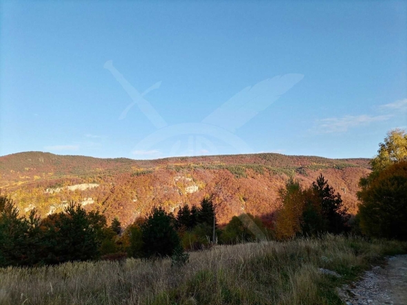 Парцел в с. Дедово, Област Пловдив - 550 кв.м за 53 €/кв.м - Снимка #1