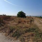 Парцел в с. Рогош, Област Пловдив - 4050 кв.м за 10 €/кв.м - Снимка #1