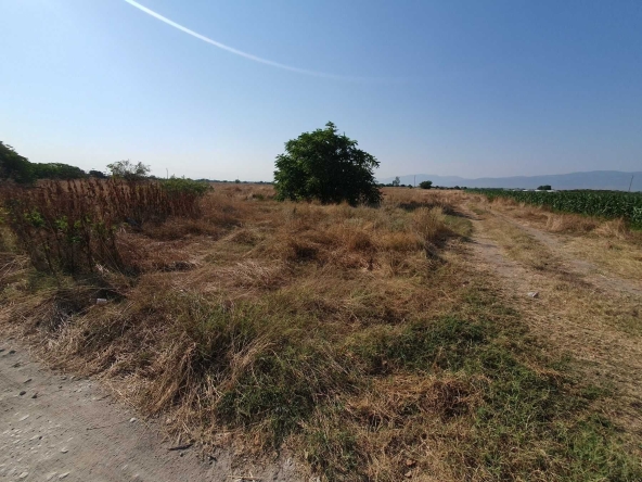 Парцел в с. Рогош, Област Пловдив - 4050 кв.м за 10 €/кв.м - Снимка #1