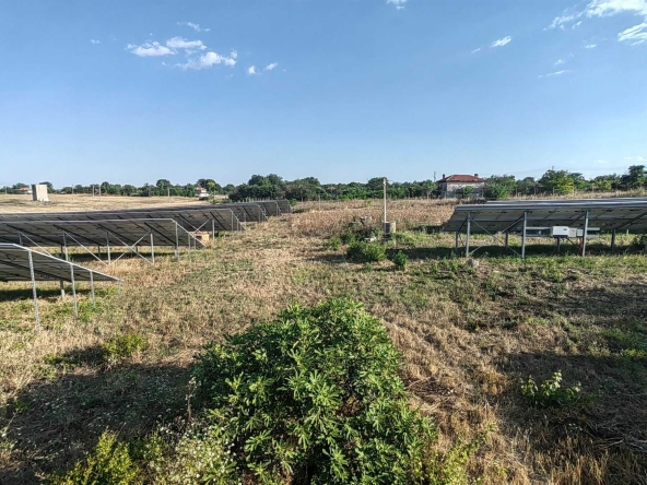 Парцел в с. Гълъбинци, Област Ямбол - 5000 кв.м за 46 €/кв.м - Снимка #1