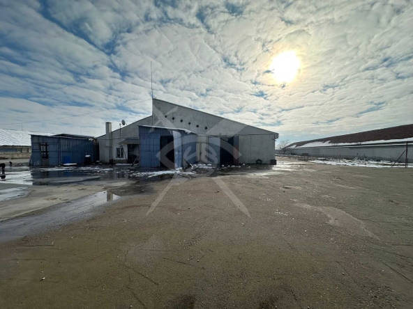 Промишлена сграда в Брезово - 19119 кв.м за 30 €/кв.м - Снимка #1