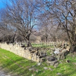 Парцел в Килифарево - 1208 кв.м за 20 €/кв.м - Снимка #1