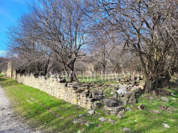 Парцел в Килифарево - 1208 кв.м за 20 €/кв.м - Снимка #1