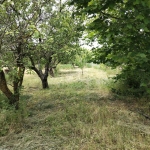 Парцел в Варна, Нептун - 700 кв.м за 22 €/кв.м - Снимка #1