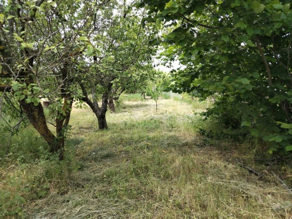 Парцел в Варна, Нептун - 700 кв.м за 22 €/кв.м - Снимка #1