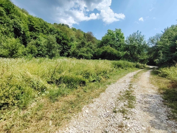 Парцел в с. Рибарица, Област Ловеч - 1291 кв.м за 40 €/кв.м - Снимка #1