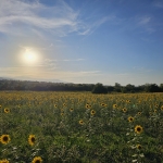 Парцел в с. Нови хан, Област София-област - 8232 кв.м за 9 €/кв.м - Снимка #1