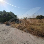 Парцел в с. Рогош, Област Пловдив - 4050 кв.м за 5 €/кв.м - Снимка #1