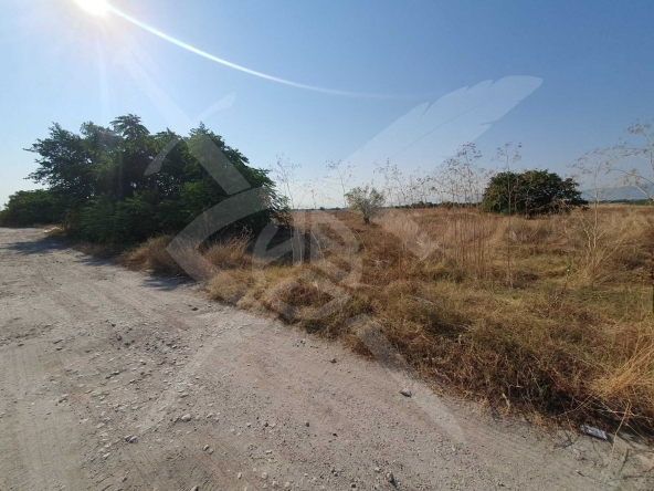 Парцел в с. Рогош, Област Пловдив - 4050 кв.м за 5 €/кв.м - Снимка #1