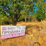 Парцел в с. Дрен, Област Перник - 787 кв.м за 33 €/кв.м - Снимка #1