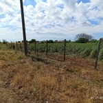 Парцел в Шабла - 712 кв.м за 10 €/кв.м - Снимка #1