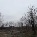 Парцел в с. Триводици, Област Пловдив - 880 кв.м за 10 €/кв.м - Снимка #1