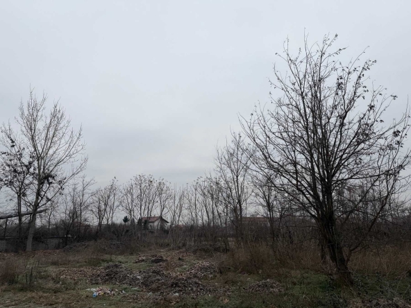 Парцел в с. Триводици, Област Пловдив - 880 кв.м за 10 €/кв.м - Снимка #1