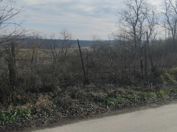 Парцел в с. Сноп, Област Добрич - 1240 кв.м за 3 €/кв.м - Снимка #1