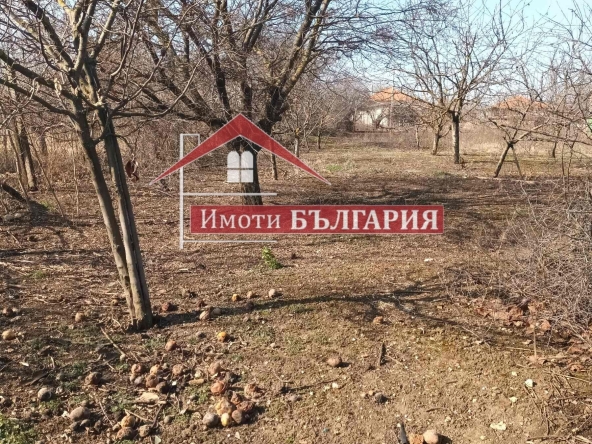 Парцел в с. Гурково, Област Добрич - 1100 кв.м за 11 €/кв.м - Снимка #1