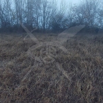 Парцел в с. Бенковски, Област Пловдив - 2789 кв.м за 11 €/кв.м - Снимка #1