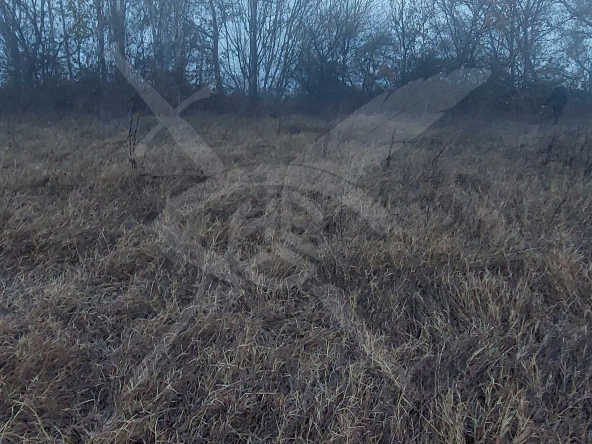 Парцел в с. Бенковски, Област Пловдив - 2789 кв.м за 11 €/кв.м - Снимка #1