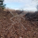 Парцел в с. Белащица, Област Пловдив - 2913 кв.м за 80 €/кв.м - Снимка #1