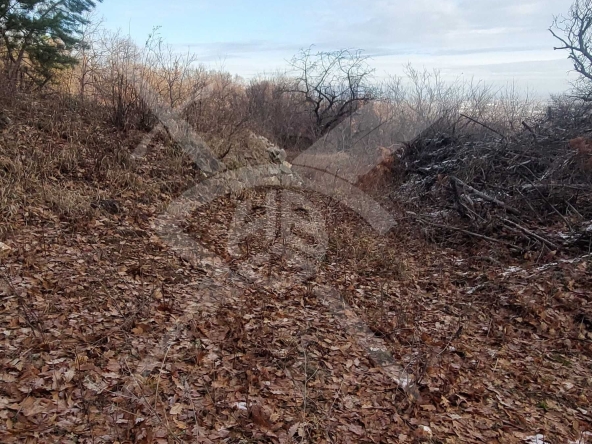 Парцел в с. Белащица, Област Пловдив - 2913 кв.м за 80 €/кв.м - Снимка #1