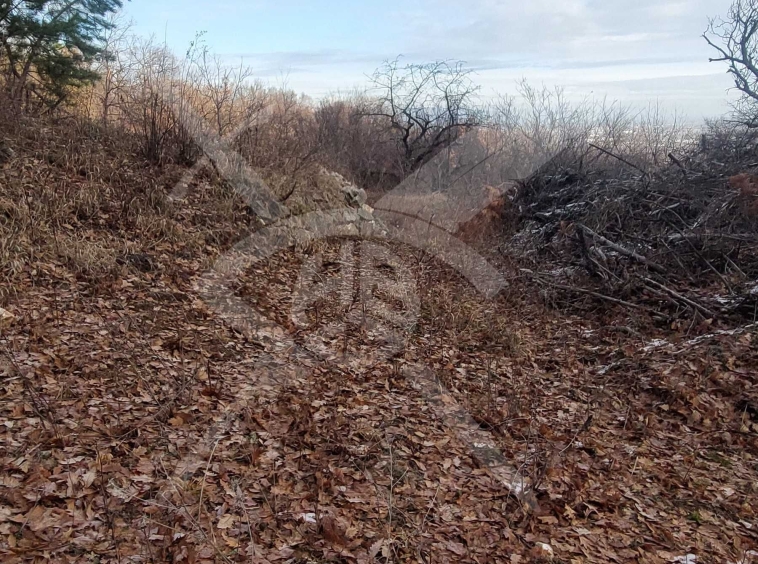 Парцел в с. Белащица, Област Пловдив - 2913 кв.м за 80 €/кв.м - Снимка #1
