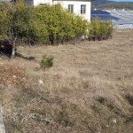 Магазин в Гоце Делчев - 10000 кв.м за 15 €/кв.м - Снимка #1