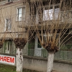 Дава се под наем Къща в Гълъбово - 120 кв.м за 408 € - Снимка #1