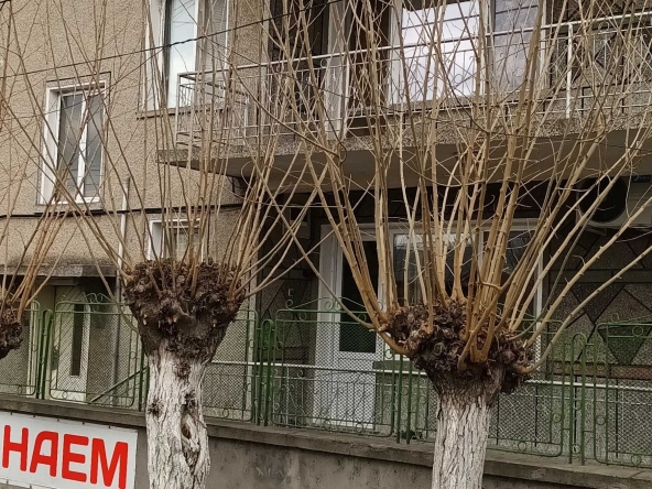 Дава се под наем Къща в Гълъбово - 120 кв.м за 408 € - Снимка #1