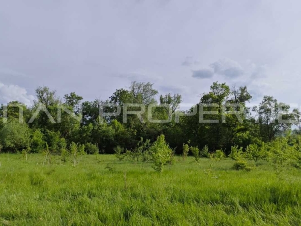 Парцел в Банкя - 1500 кв.м за 260 €/кв.м - Снимка #1