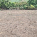 Земеделски имот в с. Долно Ряхово, Област Силистра -  кв.м за 1530 €/дка - Снимка #1