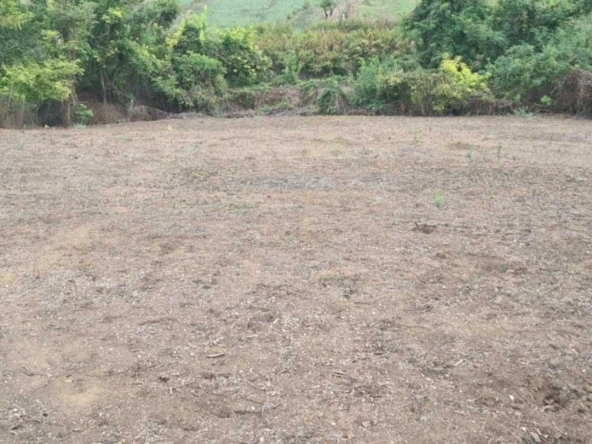 Земеделски имот в с. Долно Ряхово, Област Силистра -  кв.м за 1530 €/дка - Снимка #1