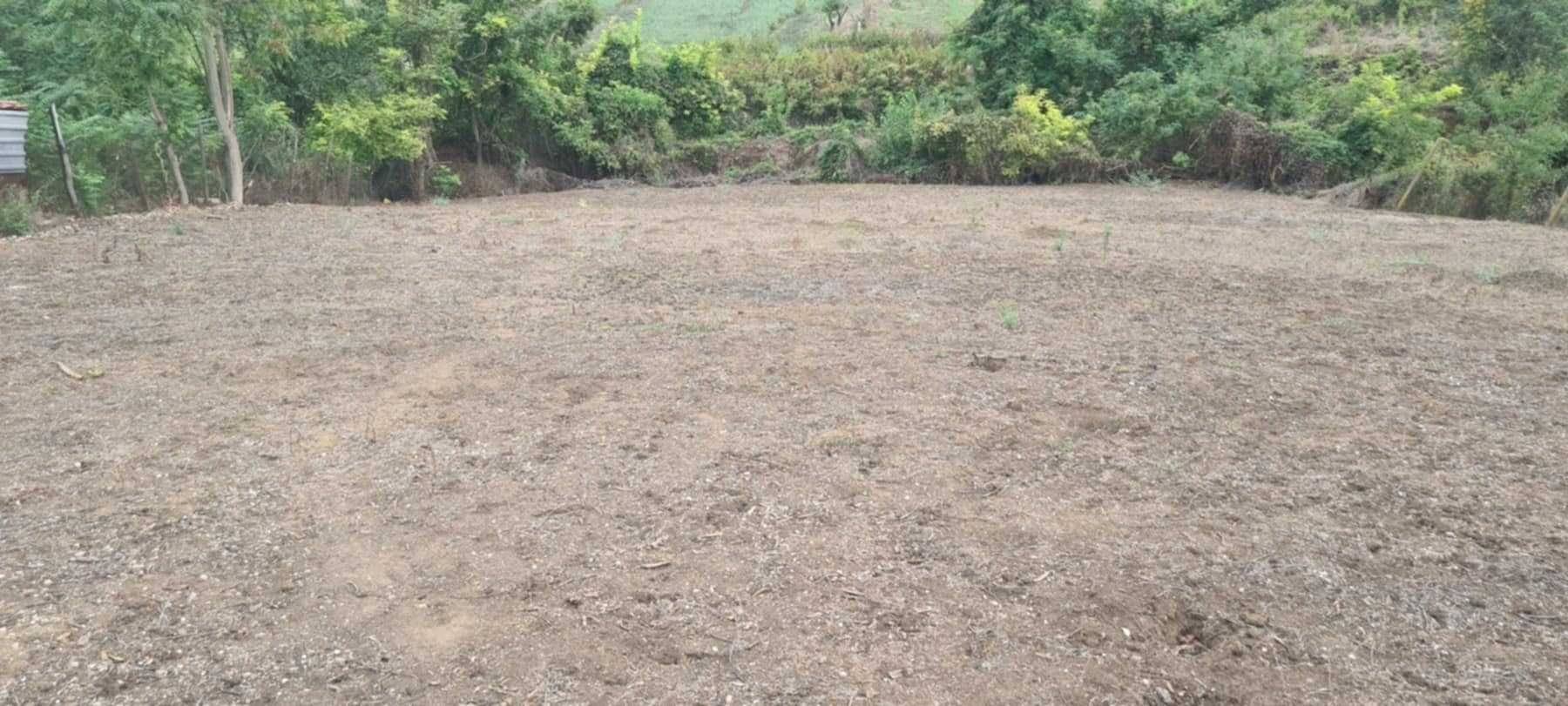 Земеделски имот в с. Долно Ряхово, Област Силистра -  кв.м за 1530 €/дка - Снимка #1