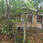 Къща в с. Полковник Иваново, Област Добрич - 60 кв.м за 281 €/кв.м - Снимка #1