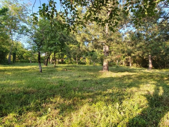 Парцел в с. Герман, Област София-град - 561 кв.м за 106 €/кв.м - Снимка #1