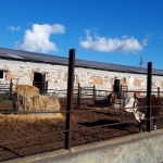 Промишлена сграда в Свиленград - 1300 кв.м за 74 €/кв.м - Снимка #1