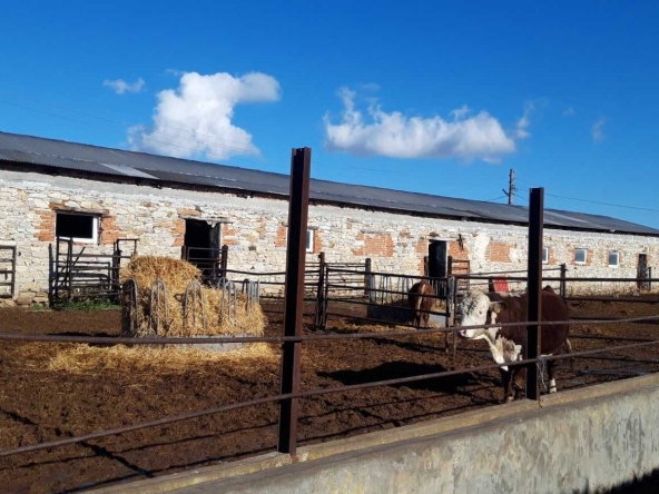 Промишлена сграда в Свиленград - 1300 кв.м за 74 €/кв.м - Снимка #1